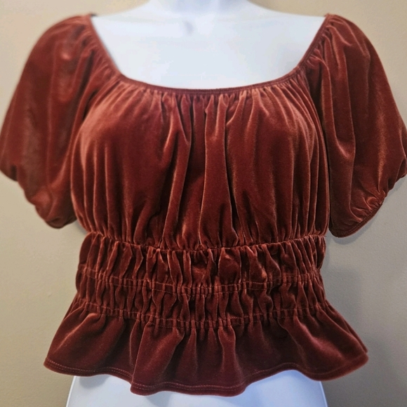 Forever 21 Tops - Forever 21 Women's Size L Velvet Orange Cropped Peasant Top Puff Sleeve Bohemian